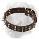 Golden Retriever Leather Collar Spikes Studs