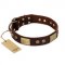 "Shining Armour" FDT Artisan Brown Leather Golden Retriever Collar with Decorations