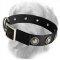 Golden Retriever Nylon Collar with Silver Conchos