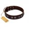 "King Arthur" FDT Artisan Brown Leather Golden Retriever Collar with Spiky Plates