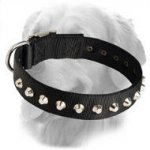 Marvellous Handcrafted Nylon Collar with Silver Pyramids