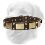 Gladiator Wide Leather Collar 40 mm