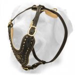 Exclusive Design Studded Leather Golden Retriever Harness