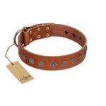 "Lucky Star" Handmade FDT Artisan Designer Tan Leather Golden Retriever Collar with Round Plates