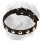 Golden Retriever Leather Collar with Half-Ball Studs