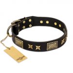 "Passion for Style and Beauty" FDT Artisan Decorated Black Leather Golden Retriever Collar