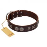 "Silver Sunset" Designer Handmade FDT Artisan Brown Leather Golden Retriever Collar