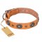 "Twinkle Twinkle" FDT Artisan Incredible Studded Tan Leather Golden Retriever Collar