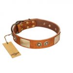 "Perfect Blend" FDT Artisan Tan Leather Golden Retriever Collar 1 1/2 inch (40 mm) wide