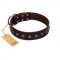 "Graceful Classic" Mod FDT Artisan Brown Leather Golden Retriever Collar