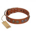 "Luxurious Life" Premium Quality FDT Artisan Tan Leather Golden Retriever Collar with Round Adornments