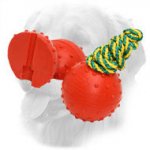 Water Floating Rubber Golden Retriever Ball with Strong Nylon Rope