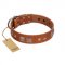 "Egyptian Gifts" Handmade FDT Artisan Tan Leather Golden Retriever Collar with Chrome-plated Pyramids
