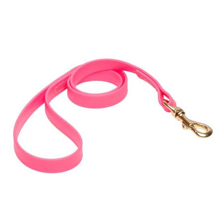 Pink Waterproof Golden Retriever Leash Made of Biothane
