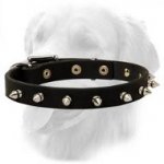 Beautiful Leather Collar With Shiny Spikes