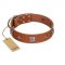 "Lucky Star" FDT Artisan Tan Leather Golden Retriever Collar with Silver-Like Embellishments