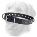 30 mm Spiked Leather Golden Retriever Collar