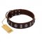 "Spiky Way" FDT Artisan Brown Leather Golden Retriever Collar with Silver-Like Decorations