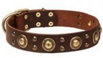 Leather Golden Retriever Collar with Circles and Half-Ball Studs