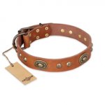 "Stunning Dress" FDT Artisan Tan Leather Golden Retriever Collar with Old Bronze Look Plates and Studs