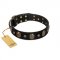 Pirate's Spell' FDT Artisan Black Leather Golden Retriever Collar with Engraved Studs and Medallions