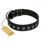 "Silent Star" Handmade FDT Artisan Designer Black Leather Golden Retriever Collar with Engraved Plates