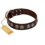 "Treasure Hunter" FDT Artisan Brown Leather Golden Retriever Collar with Old-Bronze-like and Silvery Medallions