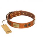 "Bronze Century" FDT Artisan Tan Leather Golden Retriever Collar with Plates and Brooches with Cool Ornament