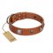 "Amorous Escapade" Embellished FDT Artisan Tan Leather Golden Retriever Collar with Chrome Plated Crossbones and Plates