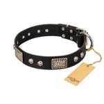 "Pirates Gold" FDT Artisan Black Leather Golden Retriever Collar with Old Silver Look Plates and Skulls