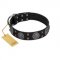 "Boundless Blue" FDT Artisan Black Leather Golden Retriever Collar with Chrome Plated Brooches and Square Studs