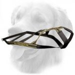 Nylon Harness for Pulling Training