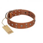 "Enchanted Skulls" FDT Artisan Tan Leather Golden Retriever Collar with Chrome Plated Skulls