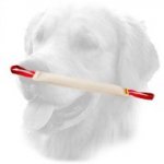 Large Fire Hose Golden Retriever Bite Tug for Dog Training
