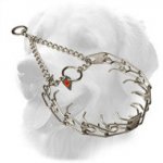 Stainless Steel Golden Retriever Pinch Prong Collar with Swivel and Quality Label