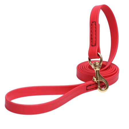 Red Waterproof Golden Retriever Leash Made of Biothane