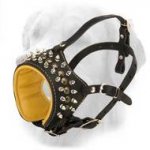 Golden Retriever Spiked and Studded Leather Muzzle
