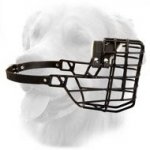 Wire Cage Muzzle - Perfect For Winter
