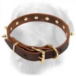 Golden Retriever Multipurpose Spiked Leather Collar