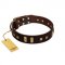 "Choco Delight" FDT Artisan Brown Leather Golden Retriever Collar with Old Bronze-like Plates and Studs