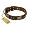 "Sparkling Bronze" FDT Artisan Genuine Leather Golden Retriever Collar with Bronze Look Stars and Plates