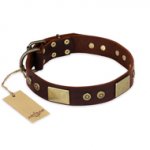 "Shining Armour" FDT Artisan Brown Leather Golden Retriever Collar with Decorations