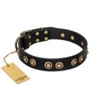 "Golden Artifact" FDT Artisan Black Leather Golden Retriever Collar with Old-bronze Covered Medallions