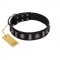 "Silver Spikes" Exclusive FDT Artisan Black Leather Golden Retriever Collar