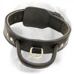 Simple Design Leather Golden Retriever Collar with Handle and Fur Saving Plate