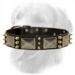 Gladiator Design Leather Collar with Nickel Plates and Brass Spikes