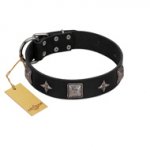 "Black Cavalier" Handmade FDT Artisan Black Leather Golden Retriever Collar with Silver-Like Stars and Large Plates