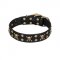 "Jolly Rojer" FDT Artisan Leather Golden Retriever Collar with Pirate Skulls and Studs - 1 1/2 inch (40 mm) wide