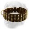 Golden Retriever Extra Wide Leather Collar with Brass Spikes