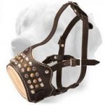Studded Leather Muzzle